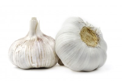 cesnek garlic