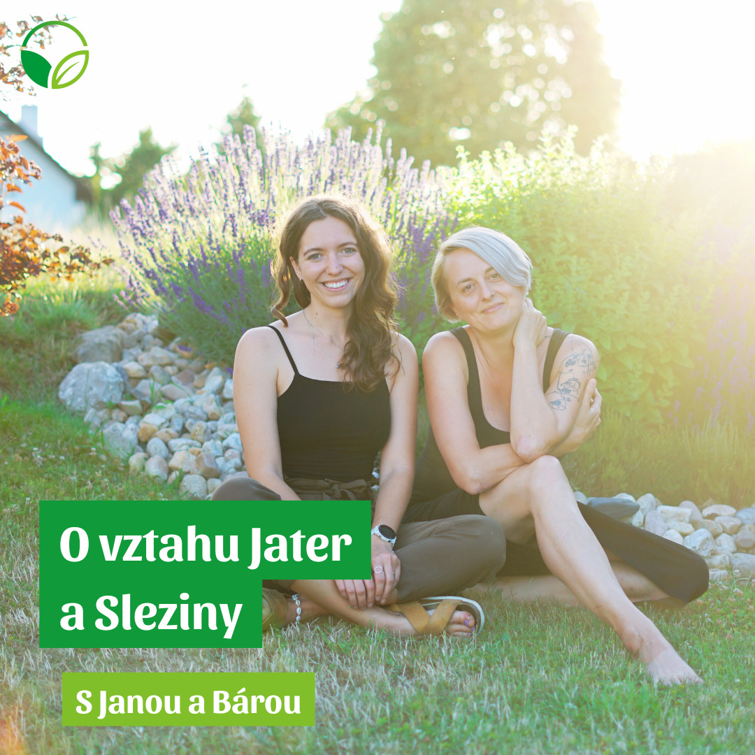 O všem s Janou a Bárou | O vztahu Jater a Sleziny