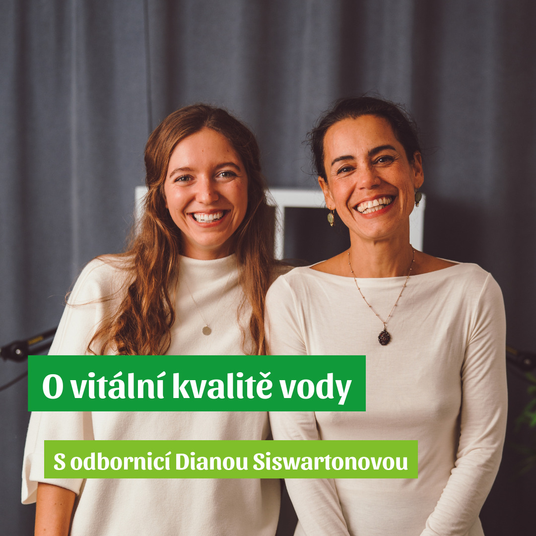 Diana Siswartonová | „Řešíme čistotu vody, ale její vitální kvalita nám uniká“