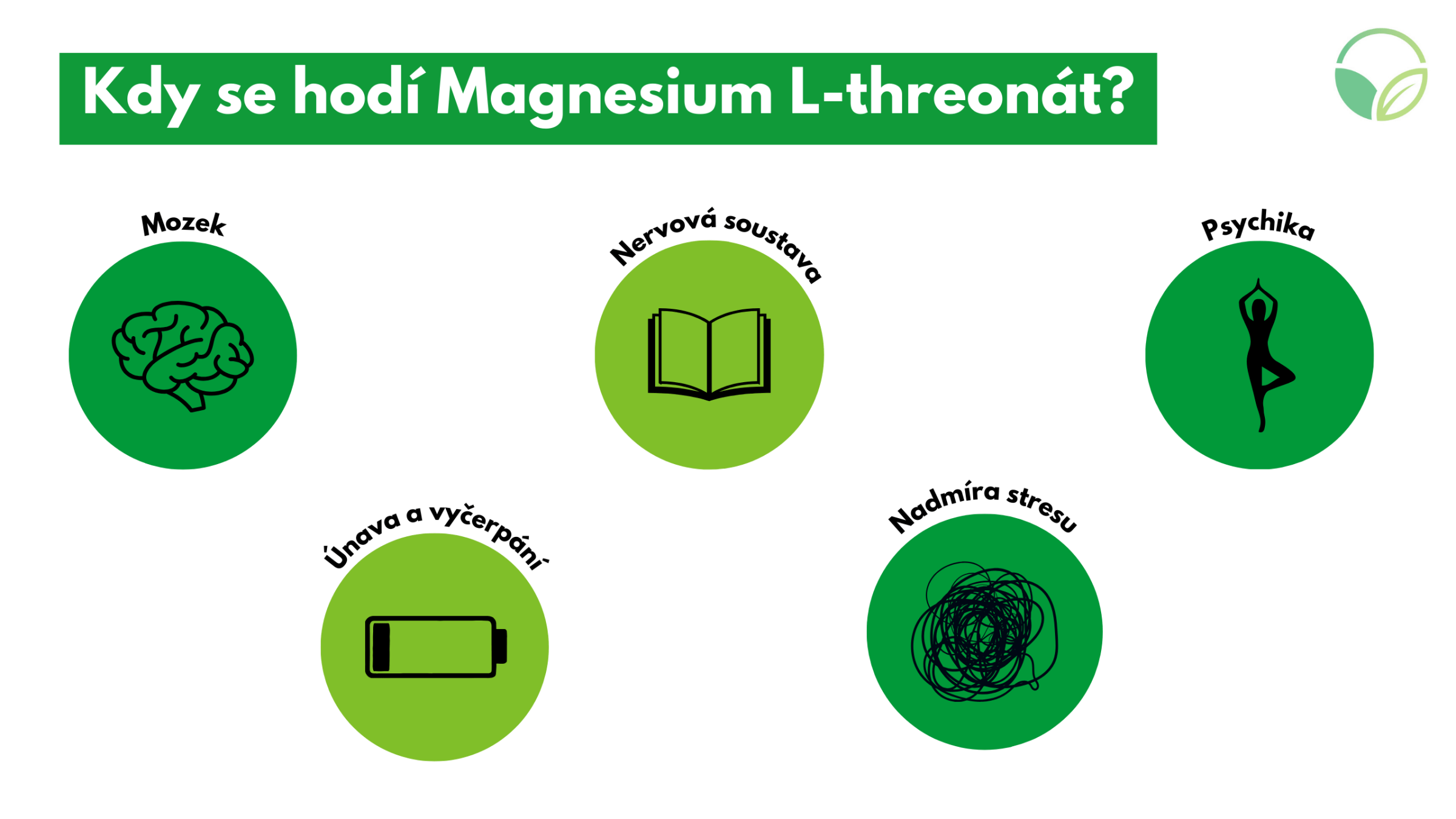 Magnesium L-treonát Magtein® 90 kapslí - Sibyl