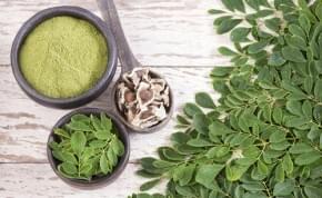 Ajurvédský poklad - Moringa olejodárná