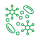 Enzymy