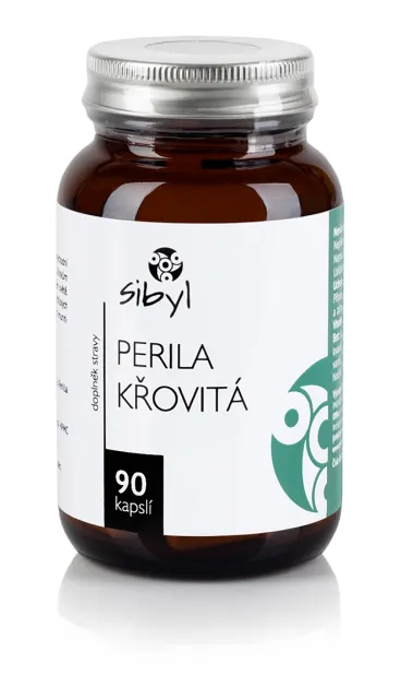 Sibyl Perila křovitá 90 cps.