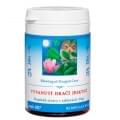 007-vyvanuti-draci-jeskyne-tcm-herbs