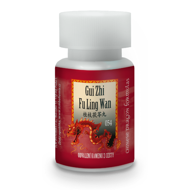 054 CZ Gui zhi fu ling wan