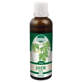 Javor Babyka (P17)