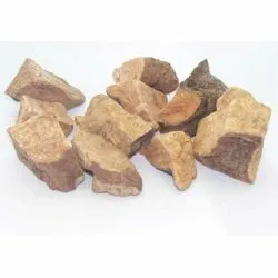 Rdesno mnohokvěté - celý kořen 50g