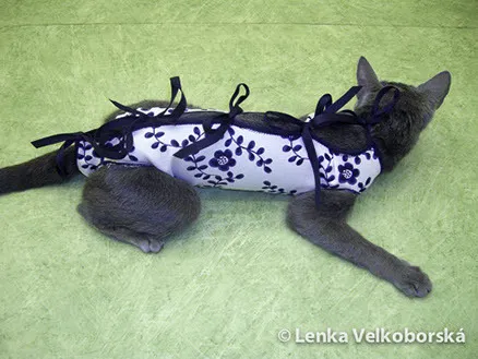 Ochranná kočičí košilka LENKA vel. XL