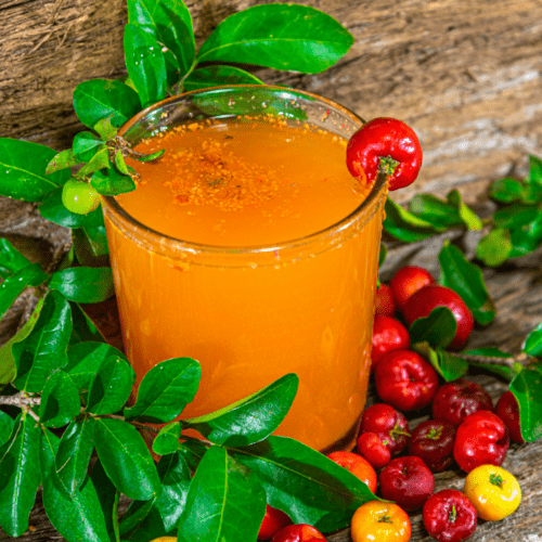 acerola-4