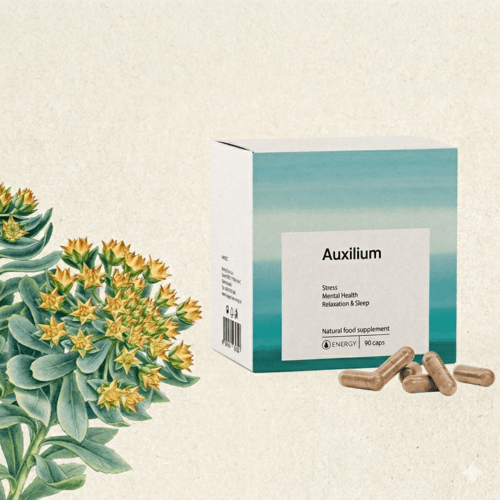 Auxilium 2
