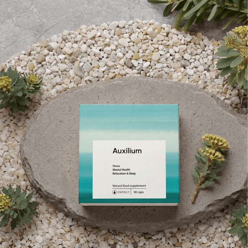 Auxilium 3