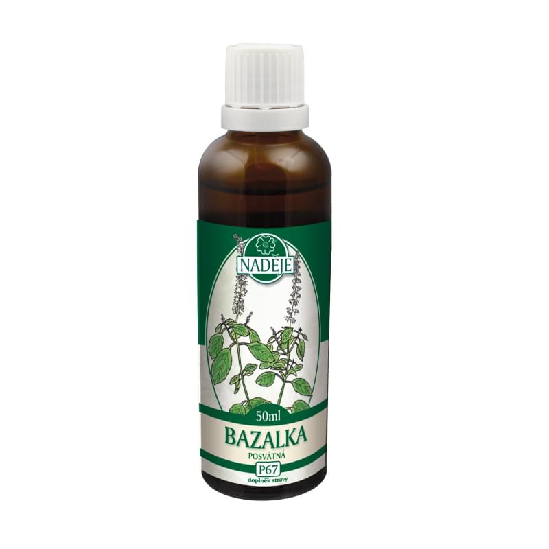 Bazalka posvátná