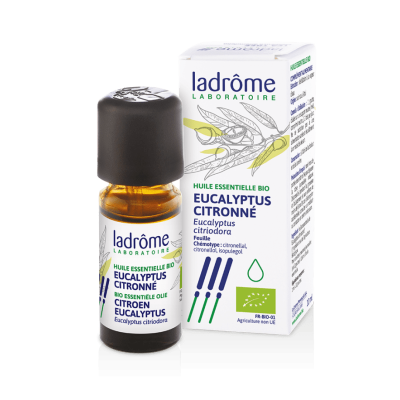 Eucalyptus-citronne-ladrome-eukalyptus-citronovy Eucalyptus-citronne-ladrome-eukalyptus-citronovy