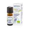 Eucalyptus-citronne-ladrome-eukalyptus-citronovy Eucalyptus-citronne-ladrome-eukalyptus-citronovy