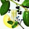 Biorythme PLAST Balzm na rty Meloun Biorythme PLAST Balzm na rty Meloun