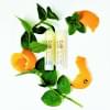 Biorythme PLAST Balzm na rty Mandarinka Biorythme PLAST Balzm na rty Mandarinka