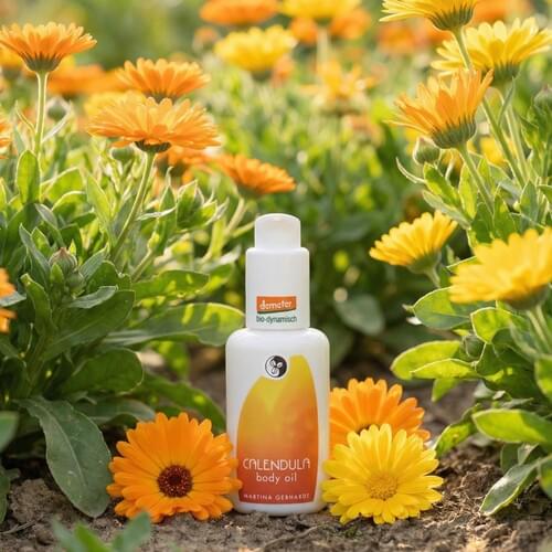 Body-oil-calendula-gebhardt