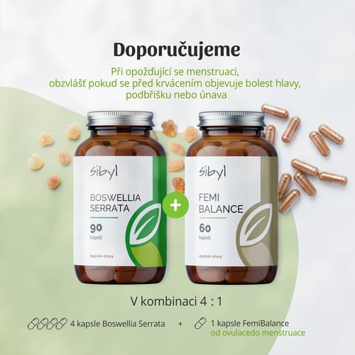 Boswellia na menstruaci
