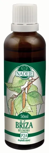 Bříza bělokorá (P2a)