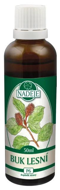 Buk lesní (P6)