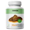 Chaga Chaga