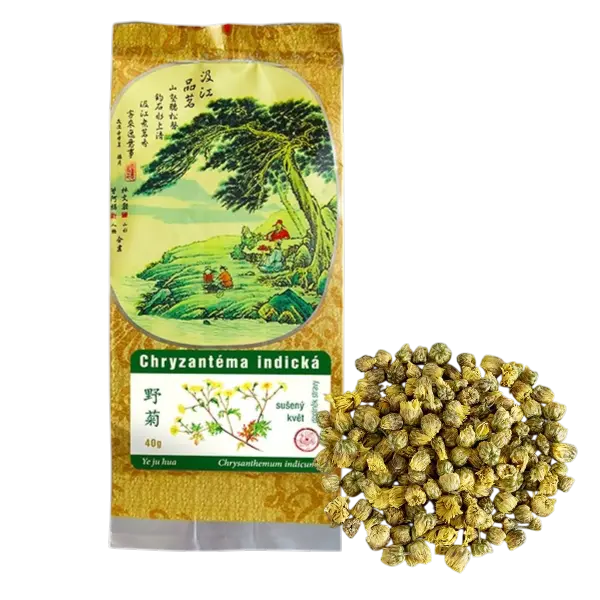 Levně Chryzantéma indická 40g