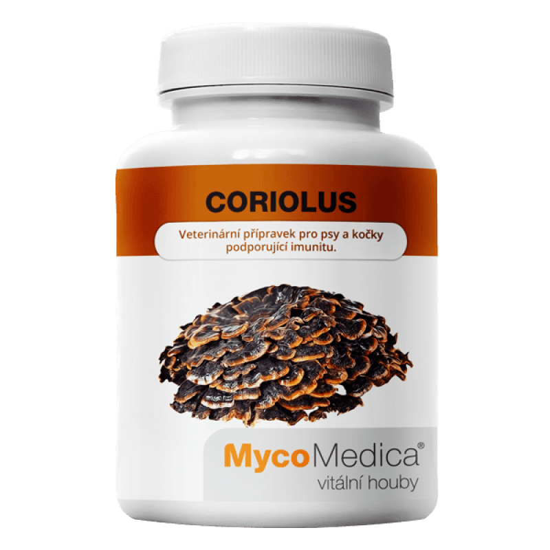 Coriolus-mycomedica-vitalni-houby