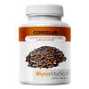 Coriolus-mycomedica-vitalni-houby