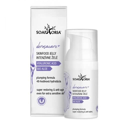 Dermacare-hyaluron-skinfood-jelly