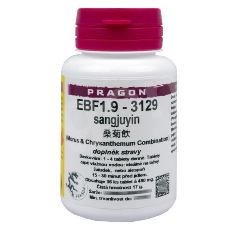 EBF 1.9
