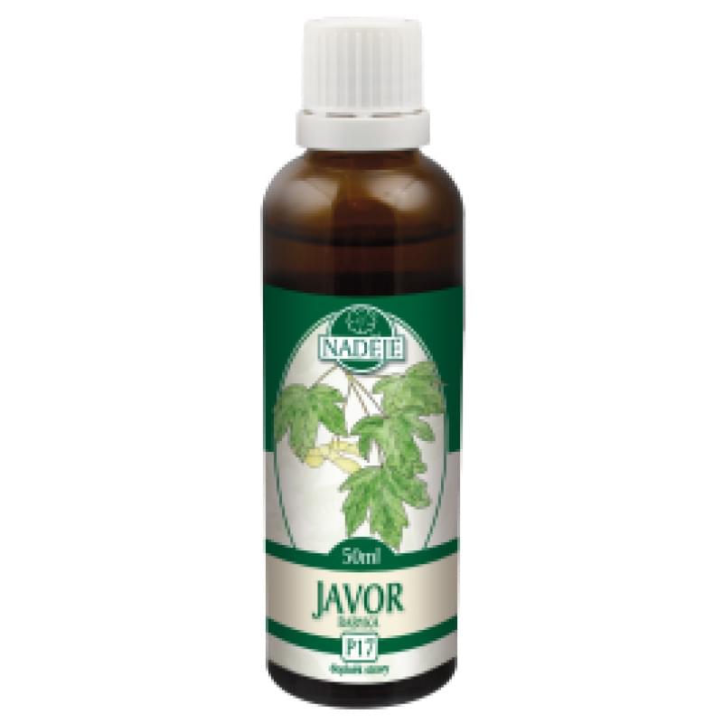 Javor Babyka (P17)
