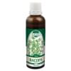 Bacopa (P70) Bacopa (P70)