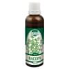 Bacopa (P70)