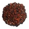 schizandra čínská schizandra čínská
