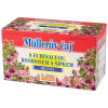 Müllerův čaj s echinaceou, rooibosem a šípkem (imunita) Müllerův čaj s echinaceou, rooibosem a šípkem (imunita)