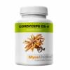 Cordyceps CS4 Cordyceps CS4