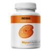 Reishi - ganoderma Reishi - ganoderma