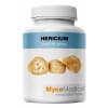 Hericium erinaceus Hericium erinaceus