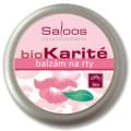 Saloos balzam na rty
