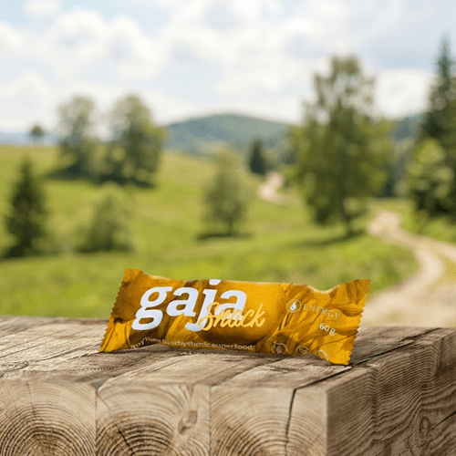 Gaja snack 2