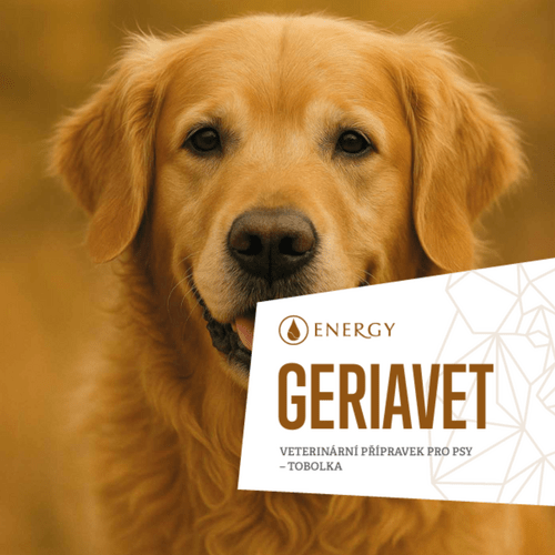 Geriavet Energy