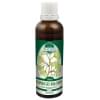 P20 Ginkgo biloba
