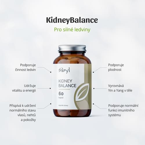 Infografika KidneyBalance