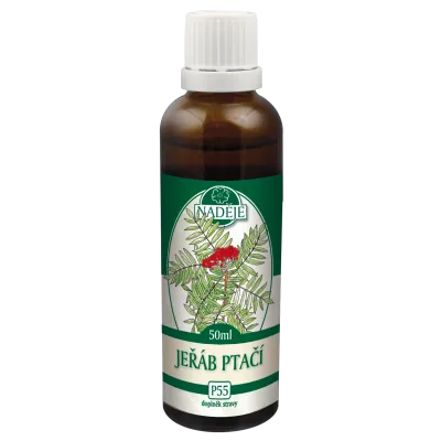 Jeřáb ptačí (P55)