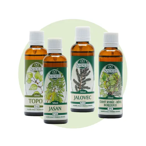 Naděje Kúra K24 (PO PRODĚLANÉ BORELIÓZE) 175 ml
