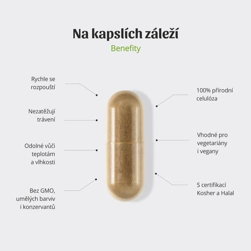 kapsle