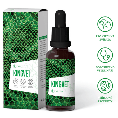 Kingvet 30ml Energy