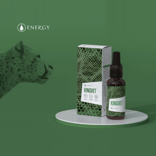 Kingvet Energy