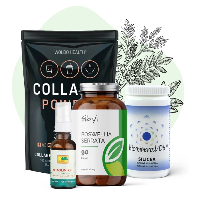 Balíček - kosti/klouby