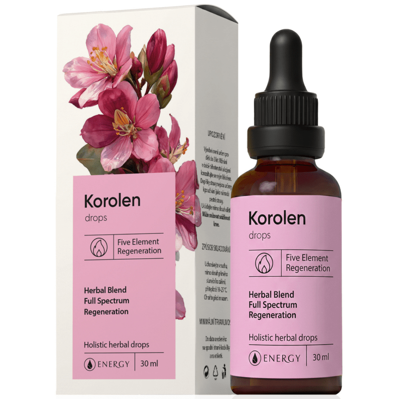 Korolen Energy